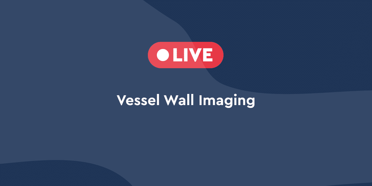 Vessel Wall Imaging